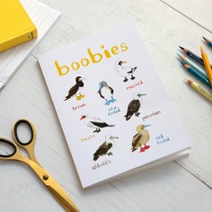 Sarah Edmonds Boobies A5 Recycled Bird Notebook