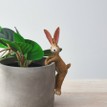 Rabbit Plant Pot Hanger additional 1