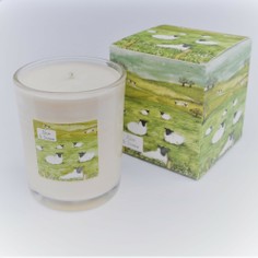 Sheep Aloe & Straw 20cl Scented Candle