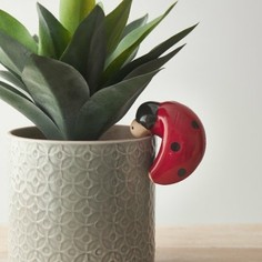 Ladybird Plant Pot Hanger