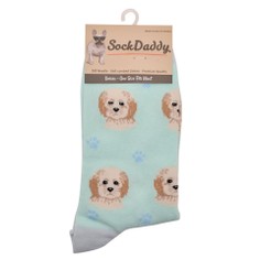 Best of Breed Turquoise Cockapoo Socks