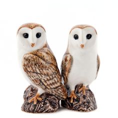 Quail Ceramics Barn Owl Salt and Pepper Set