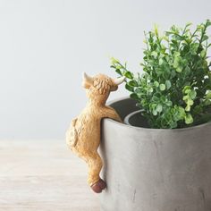 Highland Cow Plant Pot Hanger alternative