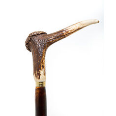 Staghorn Coronet Handle on a Chestnut Shaft Walking Stick