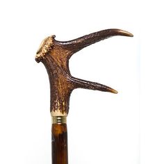 Staghorn Coronet Handle on a Chestnut Shaft Walking Stick alternative