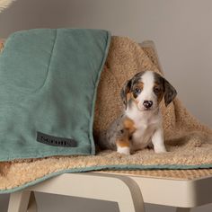 Scruffs Snuggle Blanket in Sage Green alternative