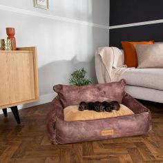 Scruffs Kensington Box Bed in Chocolate alternative
