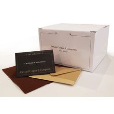 Richard Cooper Barn Owl with Ivy Bronze Sculpture alternative