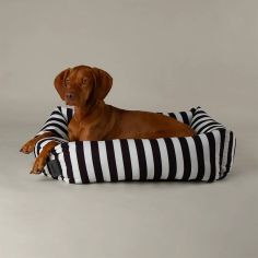 Scruffs Amalfi Striped Box Dog Bed - Black