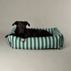 Scruffs Amalfi Striped Box Dog Bed - Green