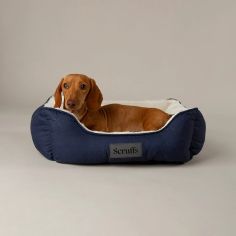 Scruffs Wilton Box Dog Bed - Navy Blue