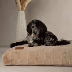 Scruffs Oxford Orthopaedic Dog Mattress - Camel alternative