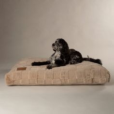 Scruffs Oxford Orthopaedic Dog Mattress - Camel
