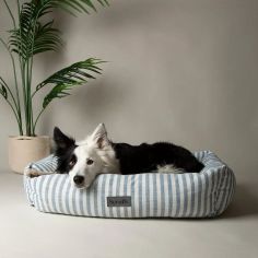 Scruffs Coastal Box Dog Bed - Blue