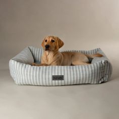 Scruffs Coastal Box Dog Bed - Green