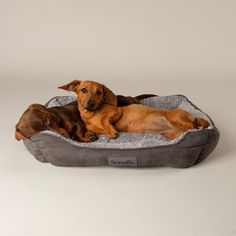 Scruffs Cosy Soft-Walled Dog Bed - Grey