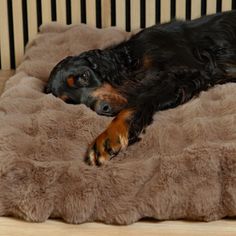 Scruffs Alpine Dog Mattress - Taupe alternative