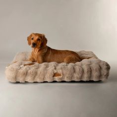 Scruffs Alpine Dog Mattress - Champagne