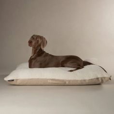 Scruffs Eden 100% Recycled Pillow Dog Bed - Cream