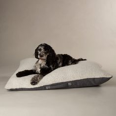 Scruffs Eden 100% Recycled Pillow Dog Bed - Charcoal Grey