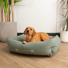 Scruffs Eden 100% Recycled Box Dog Bed - Sage Green alternative