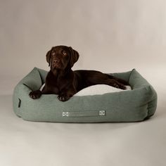 Scruffs Eden 100% Recycled Box Dog Bed - Sage Green