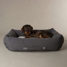 Scruffs Eden 100% Recycled Box Dog Bed - Charcoal Grey