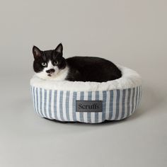 Scruffs Coastal Cat Bed - Blue