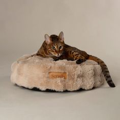 Scruffs Alpine Cat Bed - Champagne