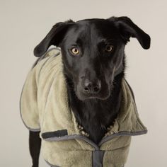 Scruffs Expedition Deluxe Noodle &amp; Microfibre Dog Drying Coat - Khaki Green alternative