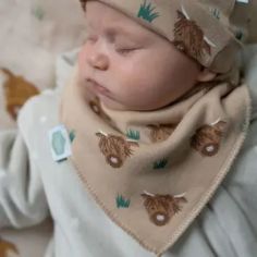 Highland Cow Print Baby Bib alternative