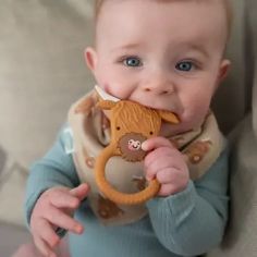 Highland Cow Silicone Baby Teether alternative