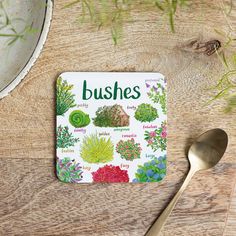 Sarah Edmonds Bushes Coaster alternative