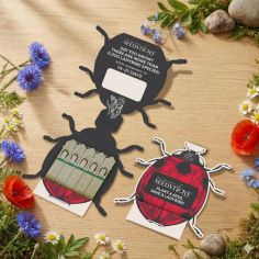 Ladybird Seedsticks Grow Your Own Wildflower Mix alternative