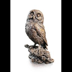 Richard Cooper Little Owl Bronze Sculpture