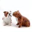 Quail Ceramics English Bulldog Salt and Pepper Set additional 2