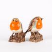 Quail Ceramics Robin Salt and Pepper Set additional 1