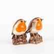 Quail Ceramics Robin Salt and Pepper Set additional 3