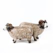Quail Ceramics Swaledale Sheep Salt and Pepper Set additional 2