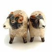 Quail Ceramics Swaledale Sheep Salt &amp; Pepper Shaker Pots additional 2