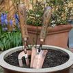 Personalised Luxe Copper Trowel and Fork Set additional 11