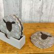 Set of 4 Wooden Sheep Coasters additional 1