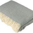 Remony Aquamarine Balintyre Throw additional 1