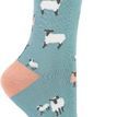 Ladies Sheep Family Socks Duck Egg Blue additional 1