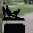 Personalised Pheasant Hanging House Name Sign additional 2