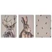 Meg Hawkins 3 Pack of A5 Note Books - Stag, Hare &amp; Bee additional 1