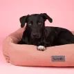 Scruffs Seattle Box Bed Coral Pink additional 4