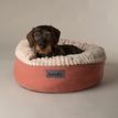 Scruffs Ellen Donut Bed in Terracotta Red additional 1