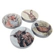 Handmade Concrete Country Animals Coaster Set additional 3