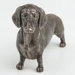 Dachshund Dog Standing Cold Cast Bronze Sculpture additional 2